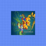 Schrodinger 2021破解版｜Win英文版｜分子对接模拟软件｜下载及安装教程-科研鹿