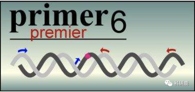 Primer Software 科研鹿-专注科研软件分享~