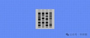 Gel-Pro Analyzer 4.0 破解版安装包 | Win英文版 | 下载链接+安装教程-科研鹿