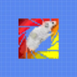 LivingImage 4.4 | Win英文版 | 小动物活体光学成像软件 | 安装教程-科研鹿